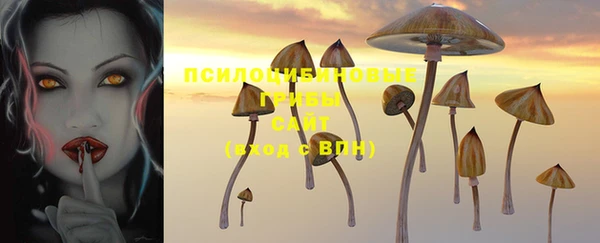 бутират Ладушкин