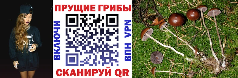 Галлюциногенные грибы мухоморы  купить наркотик  Спасск-Рязанский 